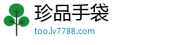 珍品手袋